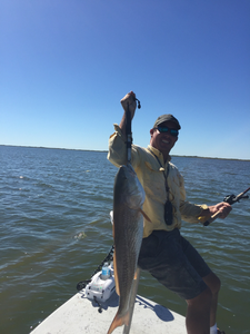 Redfish Fishing Frenzy in Corpus Christi